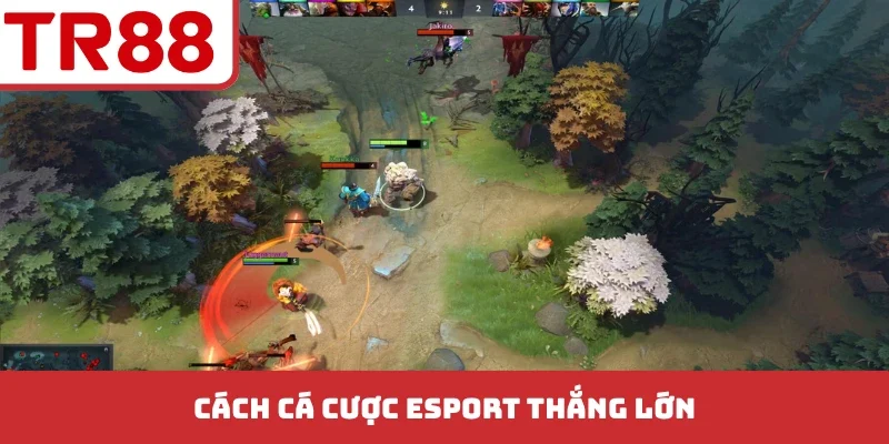 Cách cá cược esport thắng lớn