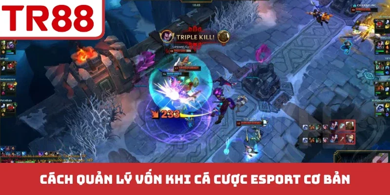 Cách quản lý vốn khi cá cược esport cơ bản