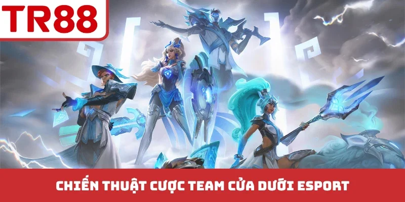 Chiến Thuật Cược Team Cửa Dưới Esport