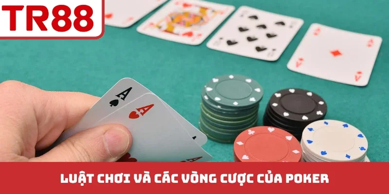Luật chơi và các vòng cược của Poker