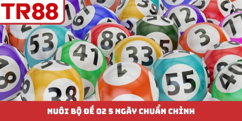Nuôi bộ đề 02 5 ngày chuẩn chỉnh