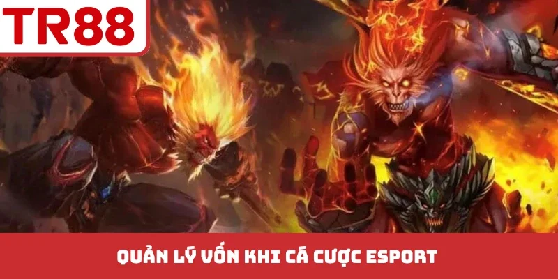 Quản lý vốn khi cá cược esport