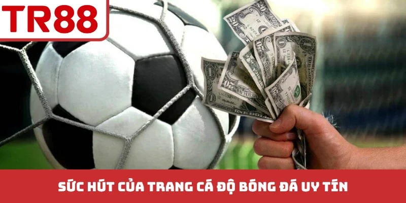 Sức hút của trang cá độ bóng đá uy tín