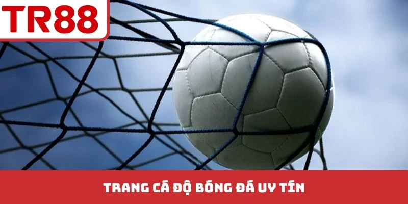 Trang cá độ bóng đá uy tín