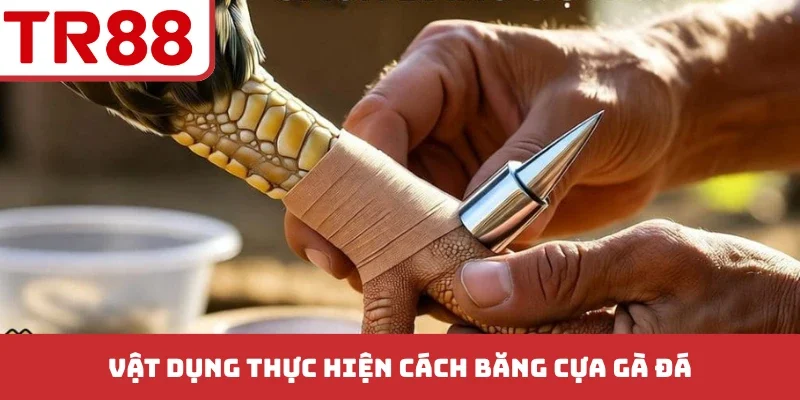 Vật dụng thực hiện cách băng cựa gà đá