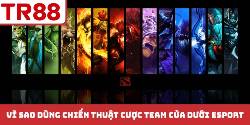 Vì sao nên dùng chiến thuật cược team cửa dưới esport