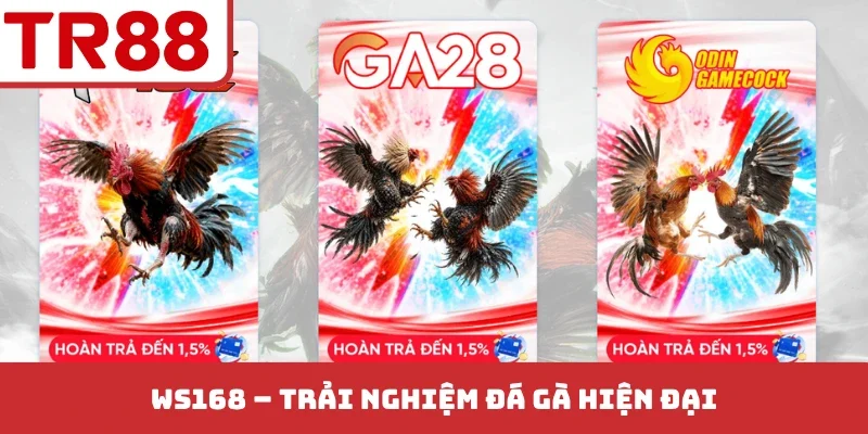Ws168 - Trải nghiệm đá gà hiện đại