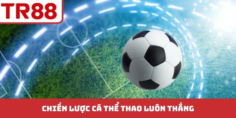 Chiến lược cá thể thao luôn thắng