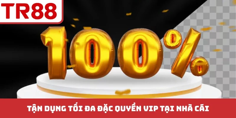 Tận dụng tối đa đặc quyền VIP tại nhà cái